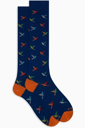 Gallo Bielizna, Kobieta, Wielobarwność, S, Długie bawełniane skarpety damskie z niebieskim wzorem papugi