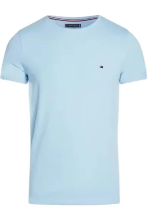Tommy Hilfiger Koszulki, Mężczyzna, Niebieski, XL, Jasnoniebieski T-shirt z Haftem Logo