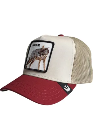 Goorin Bros. Akcesoria, Kobieta, Wielobarwność, ONE SIZE, Bawełna, Animal Farm Trucker Cap Multicolore Unisex