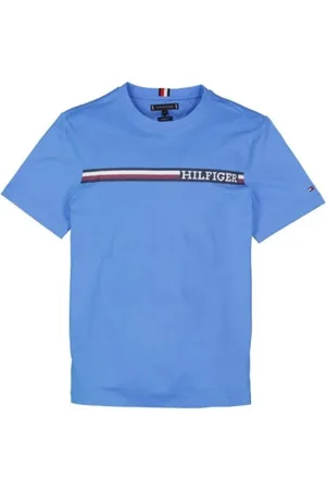 Tommy Hilfiger Koszulki, Mężczyzna, Niebieski, S, Stylowe T-shirty i Pola
