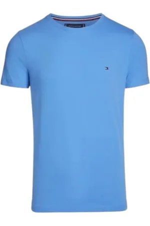 Tommy Hilfiger Koszulki, Mężczyzna, Niebieski, 2XL, Jasnoniebieski T-shirt z naszywką