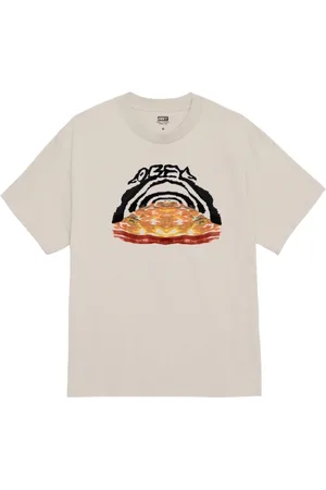 Obey Koszulki, Mężczyzna, Szary, S, Leap Tee Bawełniana Koszulka Szara
