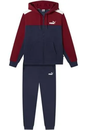 PUMA Sport, Mężczyzna, Wielobarwność, S, Bluza z kapturem i pełnym zamkiem Bordeaux Niebieski