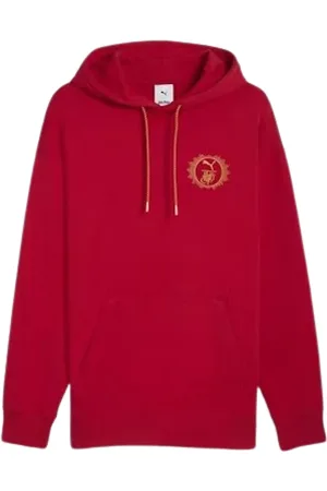 PUMA Bluzy, Kobieta, Zielony, L, Bluza Gryffindor Styl Quidditch