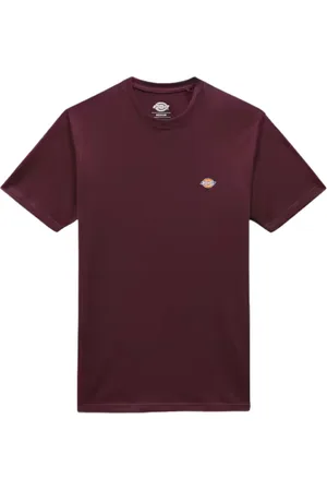 Dickies Koszulki, Mężczyzna, brązowy, L, Mapleton Tee dla Mężczyzn