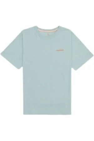 Colours & Sons Koszulki, Mężczyzna, Zielony, L, Klasyczny męski T-shirt w jednolitym kolorze