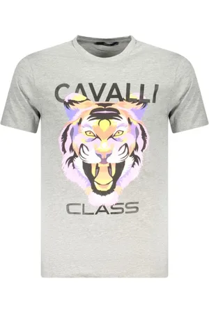 Roberto Cavalli Koszulki, Mężczyzna, Szary, L, Szara Bawełniana Koszulka Męska Styl Miejski