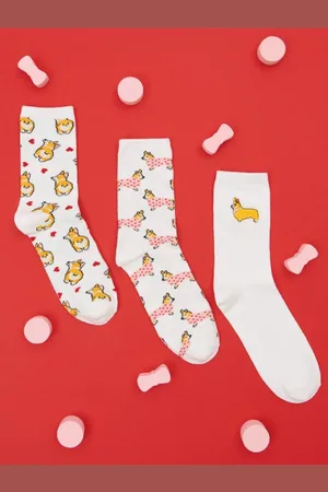 Sinsay Skarpetki 3 pack corgi