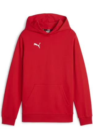 PUMA Bluza juniorska TeamGOAL Casuals Hoody Jr