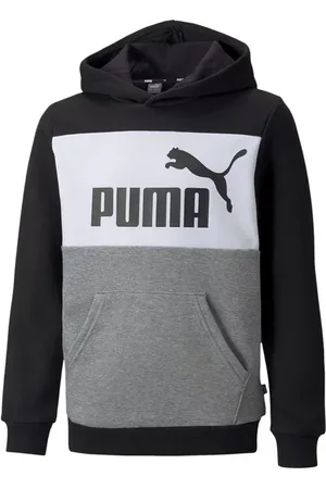 PUMA Bluza juniorska Essentials Block Hoodie