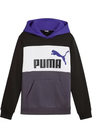 PUMA Bluza juniorska ESS Block Hoodie FL B