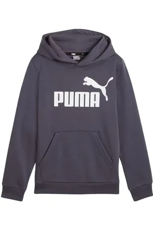 PUMA Bluza juniorska Essentials Big Logo Hooded