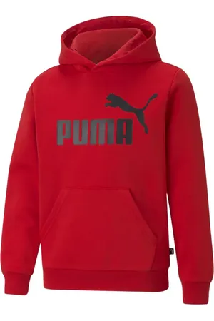 PUMA Bluza juniorska Essentials Big Logo Hooded