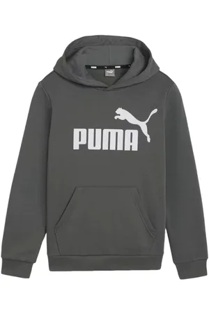PUMA Bluza juniorska Essentials Big Logo Hooded