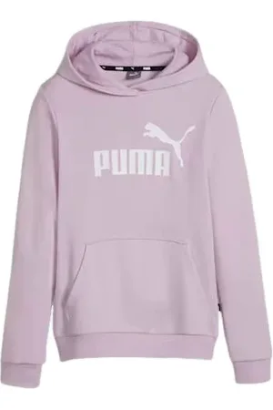 PUMA Bluza juniorska Essentials Logo Youth Hoodie