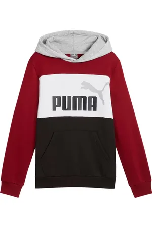 PUMA Bluza juniorska ESS Block Hoodie FL B