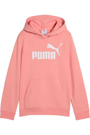 PUMA Bluza juniorska Ess No.1 Logo Hoodie