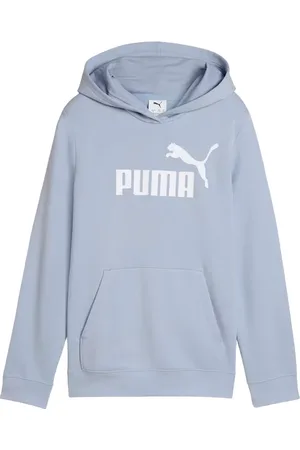 PUMA Bluza juniorska Ess No.1 Logo Hoodie