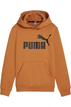 PUMA Bluza juniorska Essentials Big Logo Hooded