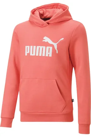PUMA Bluza juniorska Essentials Logo Hoodie