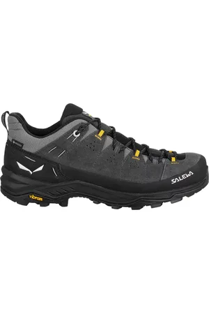Salewa Buty Alp Trainer 2 GTX