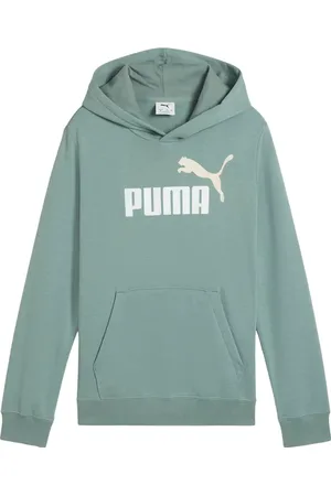 PUMA Bluza juniorska Ess 2 Color No.1 Logo Hoodie