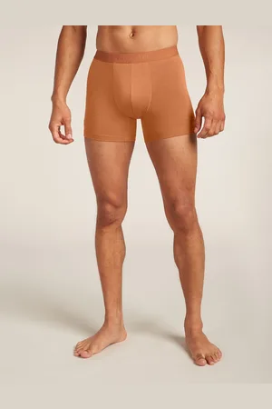 Icebreaker Termoaktywne bokserki męskie Anatomica 125 Cool-Lite Boxers - Dusty Clay