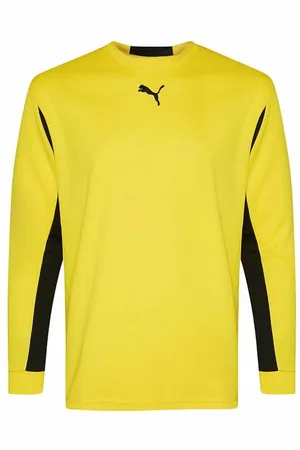PUMA V5.06 GK Mężczyźni Koszulka bramkarska 700259-03