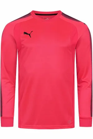 PUMA DryCELL Mężczyźni Koszulka bramkarska 703067-47