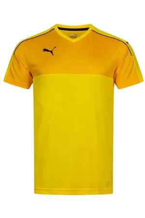 PUMA Accuracy Mężczyźni Koszulka 702214-07