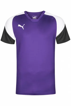 PUMA Ezyto 4 Mężczyźni Koszulka treningowa 655221-10