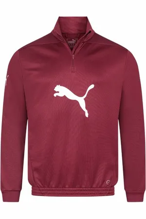 PUMA Foundation BigCAT 1/2-Zip Mężczyźni Bluza 654251-26
