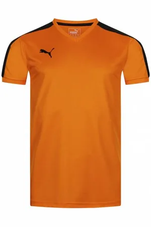 PUMA Team Mężczyźni Koszulka 703378-01