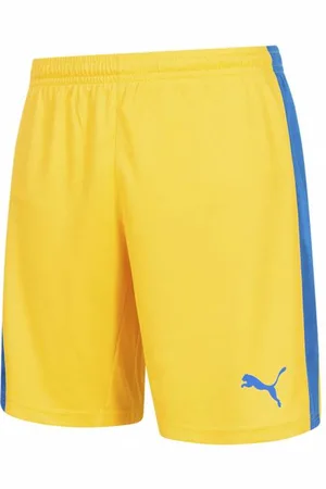 PUMA Pitch Mężczyźni Spodenki z wewnętrznymi spodniami 702075-20