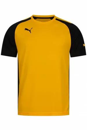 PUMA Speed Mężczyźni Koszulka 701906-07