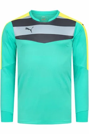 PUMA Stadium GK Koszulka Mężczyźni Koszulka bramkarska 702089-34