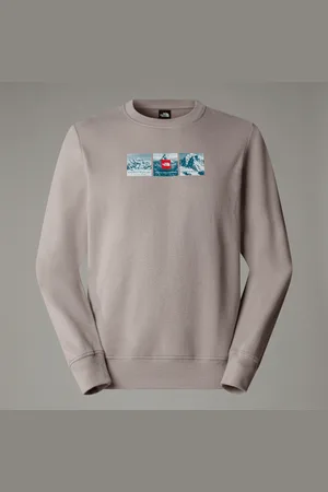 The North Face Męska Bluza Z Grafiką Expedition System Moonstone