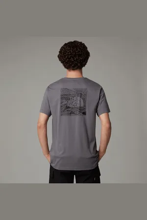 The North Face Męski T-shirt Redbox Celebration Smoked Pearl